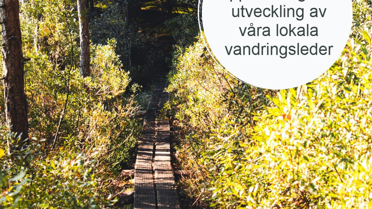 LONA Vandring