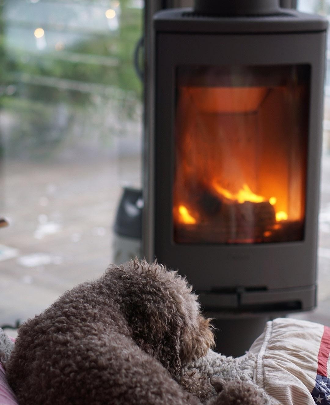 En hund ligger framför en kamin