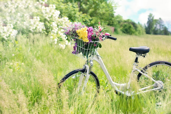 Bicycle Meadow Flowers Grass Preview