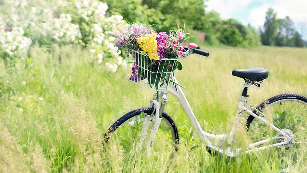 Bicycle Meadow Flowers Grass Preview