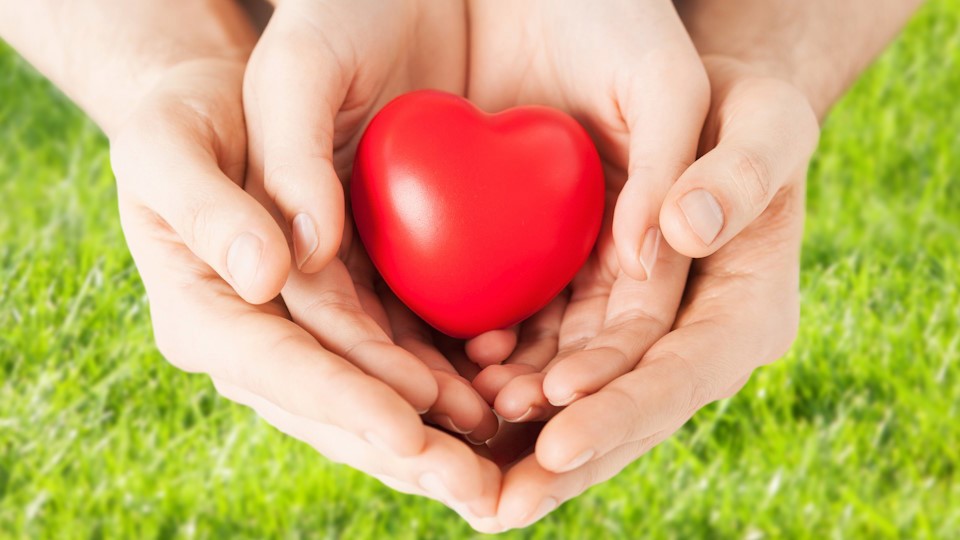 Omsorg och stöd 960X540