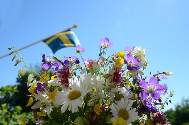 Nationaldagsfirande 2025