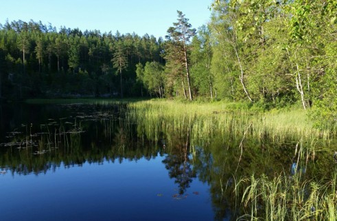 Vatten
