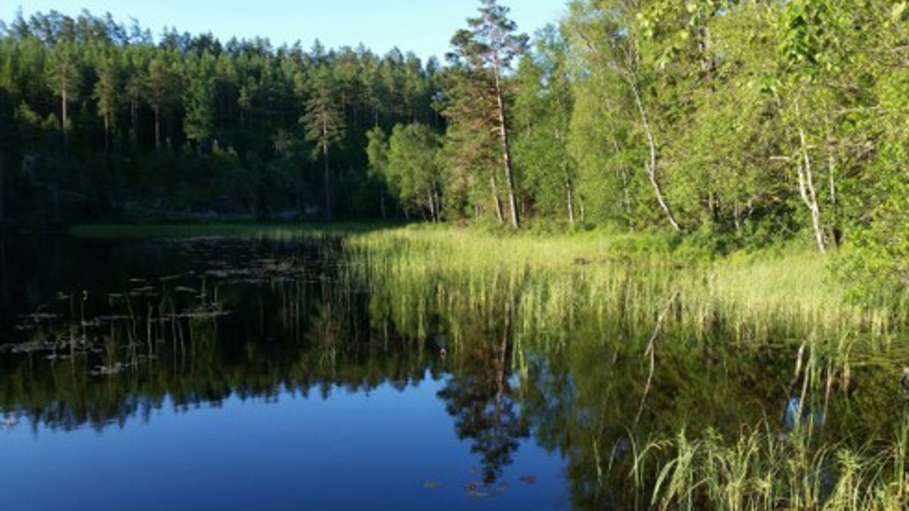 Vatten